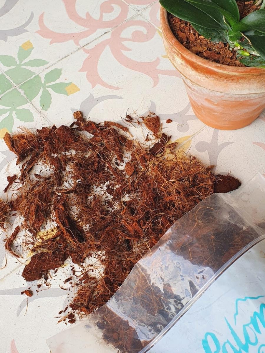 sustrato-especial-para-orquideas-anturios-tierra-para-orquideas-pachira-sustrato-de-chip-de-coco-habibi-plantitas_1ffbe689-80a6-4908-8d55-031aee0f827c.jpg