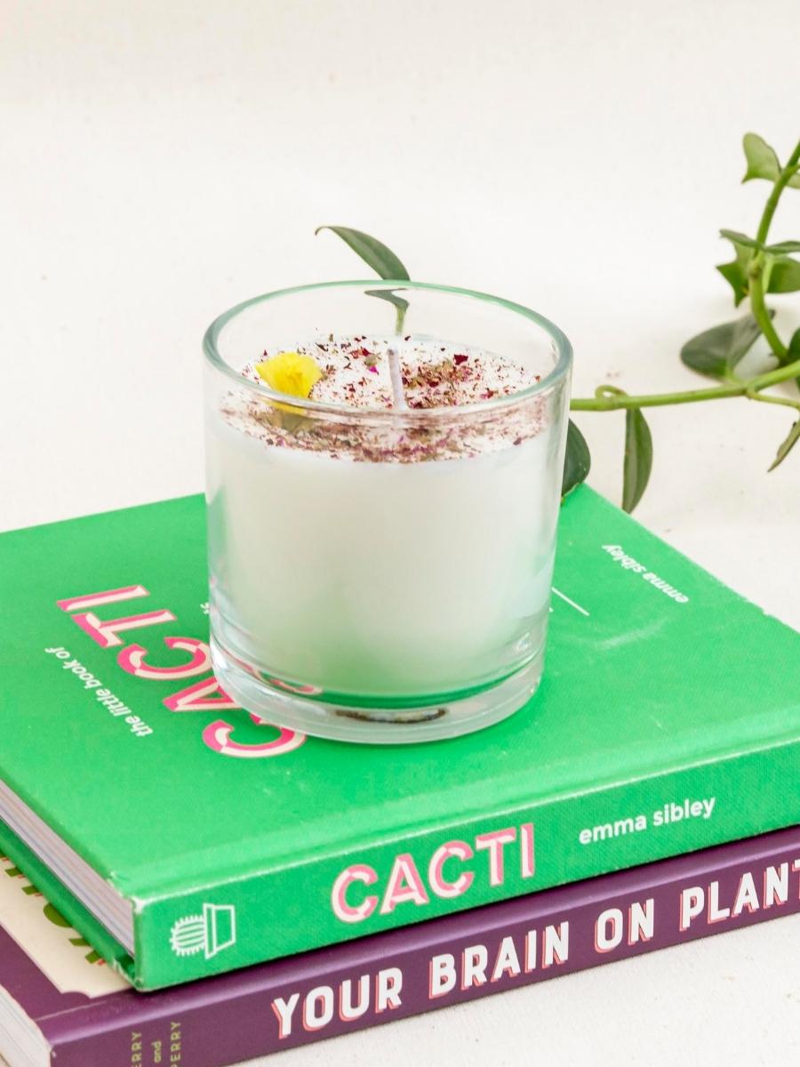 vela-aromatica-verbena-tranquilidad-regalos-para-mujeres-velas-decorativas-regalos-de-cumpleanos-habibi-plantitas.jpg