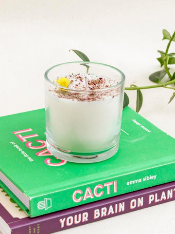 vela-aromatica-verbena-tranquilidad-regalos-para-mujeres-velas-decorativas-regalos-de-cumpleanos-habibi-plantitas.jpg